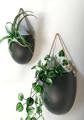 Wall Planters