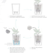 Elon Beau - Self Watering Planter